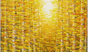 Eliterglass- Customized Pattern Digital Printing PVB Laminated Glass